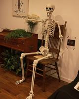 Squelette d'Halloween en plastique de 185 cm avec articulations mobiles, os humains, corps entier, effrayant, pour la décoration de fête d'Halloween