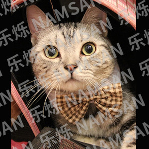 NAMSAN <b>Cat</b> <b>Bow</b> <b>Tie</b> <b>Collar</b> Plaid Adjustable Polyester Classic Style For <b>Cats</b> Medium Size All Seasons Pet Accessory - Product Image 2