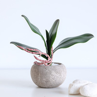 Daun Anggrek Phalaenopsis PVE Sentuhan Asli Berkualitas Tinggi untuk Dekorasi Pernikahan dan Centerpiece