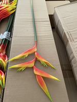 Offre Spéciale – Fleur Artificielle en Caoutchouc Souple, Plume d'Ange Artificielle, Vente en Gros pour Mariages, Décoration Maison, Faux Tige Unique
