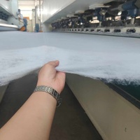 Géotextile en polyester pour la protection des berges des rivières