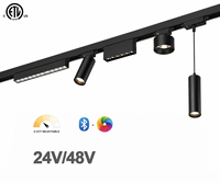 Module LED COB magnétique à grille 48V 20mm à faible éblouissement, haute fidélité des couleurs CRI 90, DALI, CCT dimmable pour salon