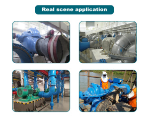 Reliable High Irrigation Pump Double Suction Centrifugal Pump Heavy Duty Water Pump - Product Image 4