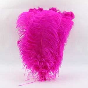 Fournisseurs en gros de grandes <span class=keywords><strong>plumes</strong></span> d'autruche <span class=keywords><strong>blanches</strong></span> de 75-80 cm pour la décoration de carnaval et de festival, <span class=keywords><strong>plumes</strong></span> d'autruche décoratives pour les mariages et les fêtes - Product Image 4