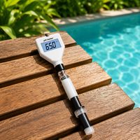 Testeur de pH de la peau, acidimètre, sonde remplaçable, écran LCD