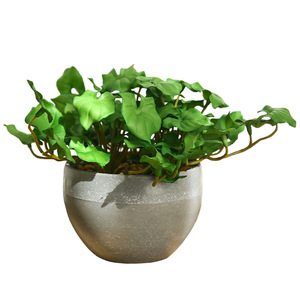 Yihua Floral Art, feuille de taro artificielle, bonsaï, petite, moyenne, grande, fleur en soie, décoration intérieure, style minimaliste, pot de plante - Product Image 5