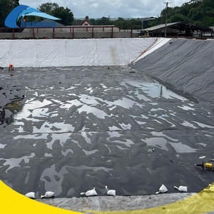 Waterdichte Kunstmatige Lake Liner <span class=keywords><strong>Geomembrane</strong></span> Hdpe 1Mm Hoge Sterkte Custom Size Zwart Groen Eco Vriendelijk Voor Landschap Meer - Product Image 1