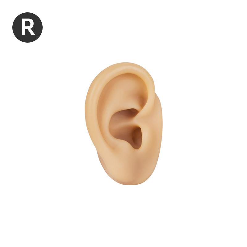 Oreja derecha - Tono de piel claro Oreja pequeña