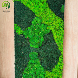 Lumut alami dinding seni bingkai buatan tanaman disesuaikan lumut buatan rumput dinding untuk kantor belanja Mall dekorasi toko - Product Image 5