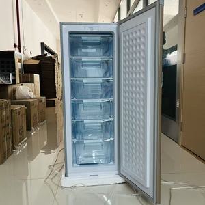 Congélateur vertical commercial à porte unique de 193 L, congélateur domestique à tiroirs, réfrigérateur tout congélateur, efficacité énergétique de première classe - Product Image 6