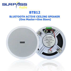 Bt812 Vượt Qua PA Hệ Thống 8 Inch Trở kháng 2*15W <span class=keywords><strong>Hifi</strong></span> Trong Nhà Hệ Thống Âm Thanh Không Dây Màu Xanh Răng Loa Trần - Product Image 2