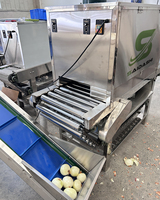 Machine à peler les oignons SAIDASHI 1000 kg/h, machine automatique à retirer les peaux, équipement de traitement des oignons secs en acier inoxydable