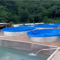 Vente flash : bassin rond pour l'élevage commercial de poissons, structure en acier galvanisé, taille personnalisée, SYGH - bassin pour usage agricole