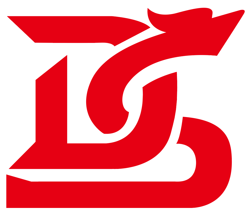 Dongying Dongsheng Mechanical Automation Co., Ltd. logo