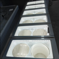 Vitrine réfrigérée pour glaces Pozzetti avec 4/6/8/10/12 barils ou fûts
