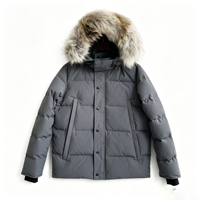 Manteau d'hiver chaud de style classique personnalisé de haute qualité, coupe-vent, parka pour homme, veste en duvet