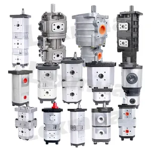 Meglio vendere pompe idrauliche Rexroth Parker pompa idraulica ad ingranaggi industriale pompa a ingranaggi per trattore