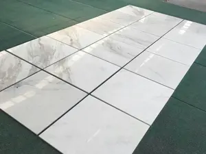 Projet SHIHUI Carreaux de sol en marbre blanc chinois 60x60 en pierre naturelle utilisés pour les murs extérieurs et intérieurs