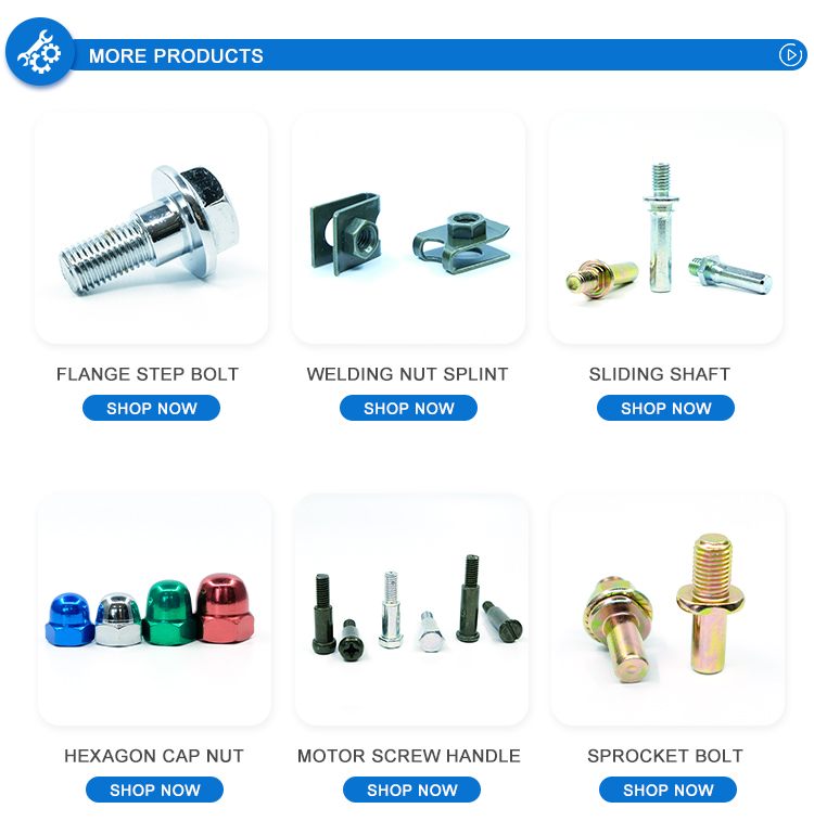 OEM Carton Steel Titanium Umbrella Head Umbrella Nuts Bolt Steel Fastener