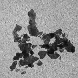 BioMag®Producto de suministros de laboratorio anti-IgG humana de Cabra (específica de Fc) - Product Image 1