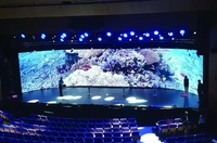Vente en gros d'usine Écran LED extérieur polychrome 250*250mm Écran LED de location numérique étanche