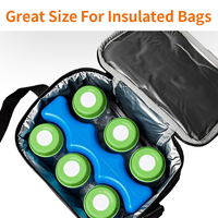 HANERSHI Glacière Réutilisable de Qualité Alimentaire, Portable pour Camping en Extérieur, Pack Chaud et Froid, Brique de Glace Ondulée