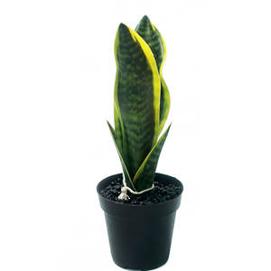 Plantas Artificiales <span class=keywords><strong>Sansevieria</strong></span> (Planta Serpiente) 4 Piezas con Maceta de Plástico Negra, Planta Artificial Pequeña para Decoración de Interiores, Sala de Estar y Hogar - Product Image 2