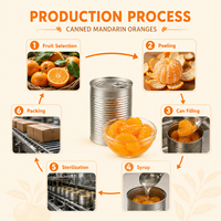 Segmen Jeruk Mandarin Awet 850g dalam Sirup Ringan untuk Katering Dessert Ukuran Kustom Pemasok Pabrik Grosir