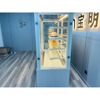Vitrine de pâtisserie FENXIAN, équipement de boulangerie, réfrigérateur, vitrine de gâteaux