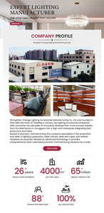 ชุดแขวนโคมไฟแบบใหม่ <span class=keywords><strong>TUER</strong></span> TE-A7067 พร้อมคลิปหนีบสายทองเหลืองและสายยึดสำหรับโคมไฟห้อย - Product Image 5