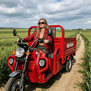 Triciclo Elettrico Passeggeri a <span class=keywords><strong>Tre</strong></span> Ruote BEIHAI 2026 Economico Mini Scooter 60V 2000W per Adulti - Product Image 5