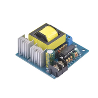 Module micro-onduleur DC-AC 150W, convertisseur DC 12V/24V en AC 110V/172V/200V/220V, module d'alimentation boost pour le bricolage et le camping