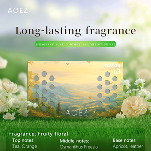 Large Capacity Solid Perfume Long Lasting Scent for Homeb Car Quality Assured Odor Removal Aromatherapy Air Freshener - Product Image 3