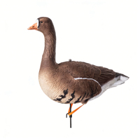 Décoy de canard grison réaliste 3D en EVA souple et léger, à fixation au pied, pour l'observation en extérieur et la décoration de jardin