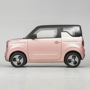 Nuevo Panda Mini EV con Autonomía de <100 km, Mini Auto Eléctrico para Adultos, Batería de Litio Ferrofosfato, Velocidad Máxima de 100 km/h, FSL S5 - Product Image 4