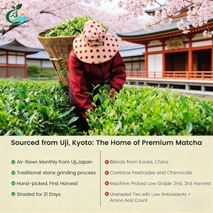 Té Verde Matcha Japonés Orgánico Certificado de Grado Ceremonial, de Propiedad Estatal, y Extracto de Plantas - Product Image 3