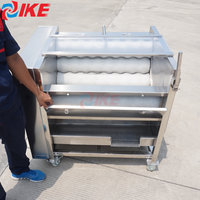 Machine à éplucher les pommes de terre IKE pour les grandes quantités, machine à éplucher le kudzu, équipement de lavage et d'épluchage du gingembre