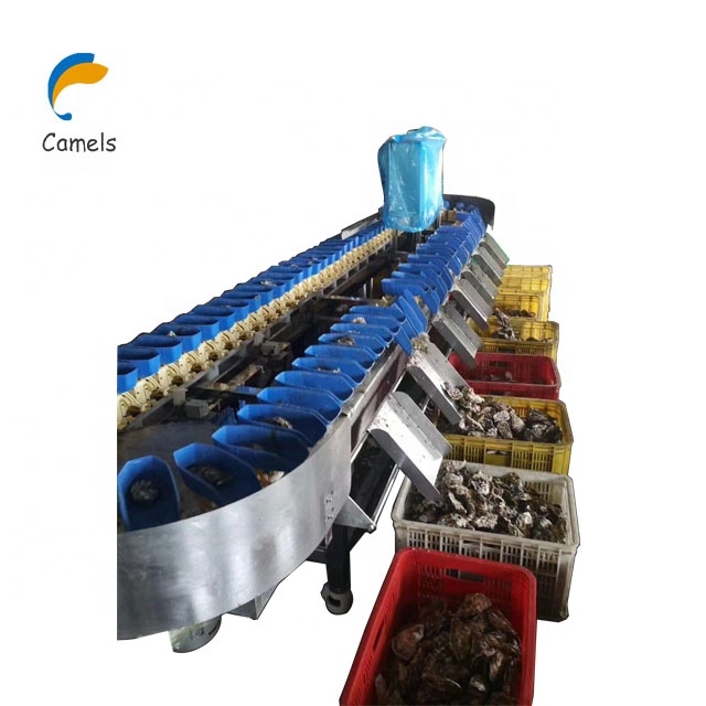 Automatic Weight Classifier Shrimp Grader Machine Fish Sorting Machine