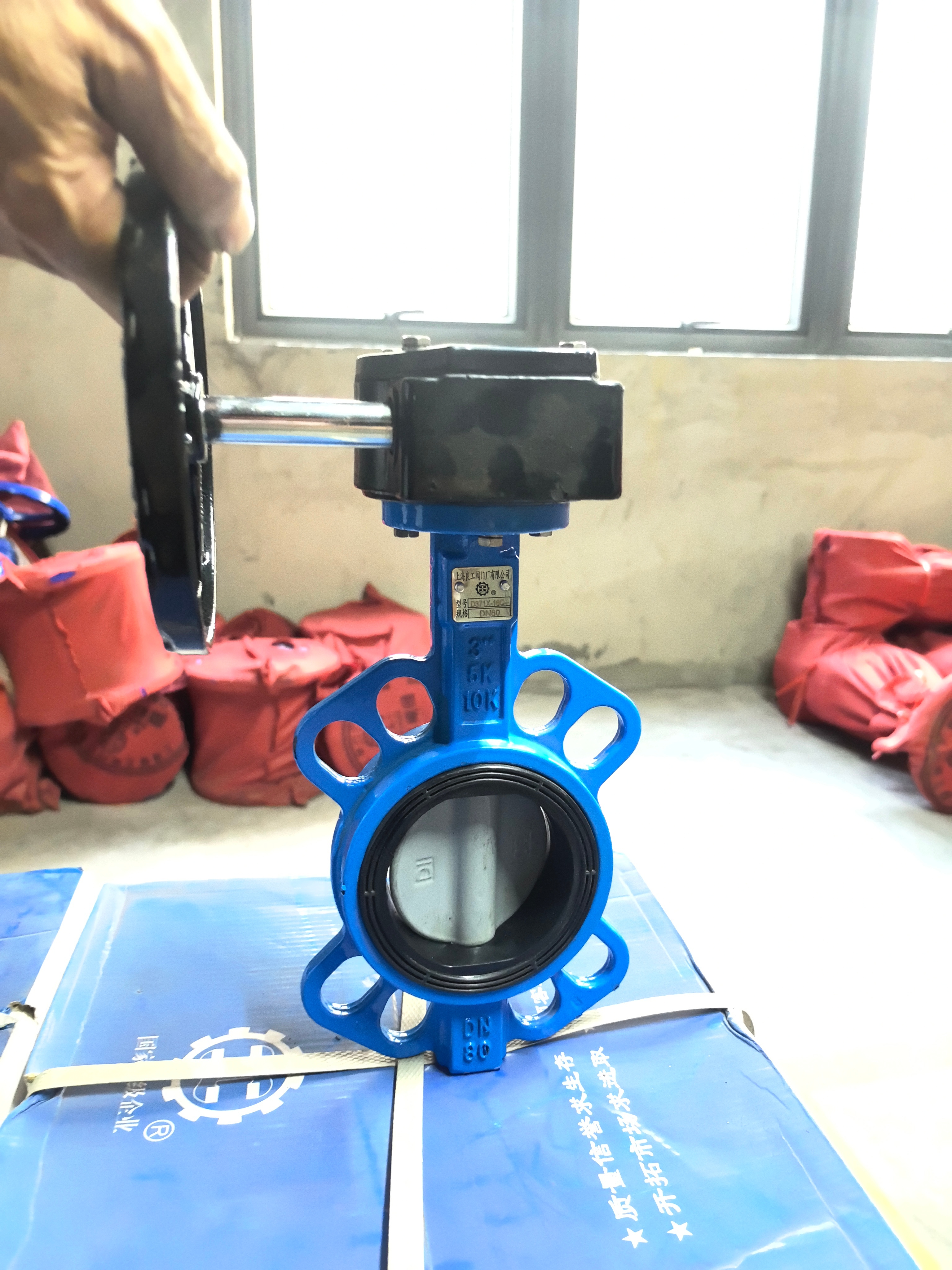 butterfly valve lugged