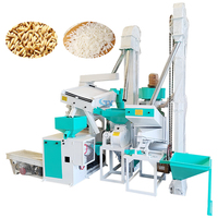 Machine de traitement du riz, moulin, mini prix, équipement de fraisage du riz
