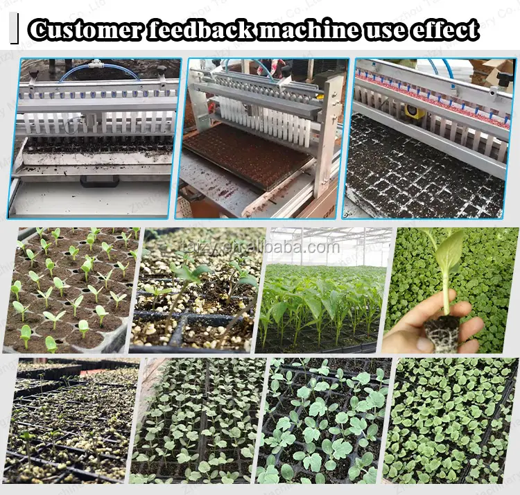 Automatic Seed Planting Machine Trays Seed Planting Machine Nursery Seeding Machine With CE