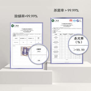 Défroisseur Vapeur Portable Électrique AUX 0.9L-1.3L – Éliminateur de Plis pour Usage Domestique - Product Image 1