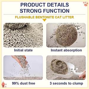 중국의 도매 가격 깨진 벤토나이트 점토 고양이 쓰레기 - Product Image 2