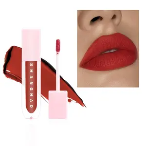 Waterdichte Lipgloss Matte Lip Non-Stick Lip Glazuur Aangepaste Kleur Vloeibare Lippenstift Roze Vierkante Lipgloss