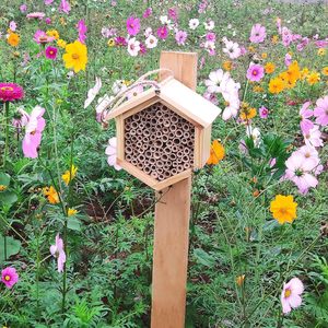 บ้านผึ้งเมสันท้องถิ่นผึ้งรังผึ้งหกเหลี่ยมไม้ทําด้วยมือ Mason Bee Box Habitat โฮมโฮเทลพร้อมหลอดไม้ไผ่ - Product Image 3