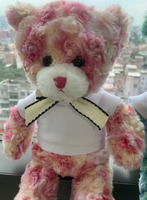 Songshan Jouets Personnalisé Saint Valentin Cadeau Animal En Peluche En Peluche Sublimation logo Ours Chemise Poupée Mignon Ruban Cravate Ours En Peluche Jouet