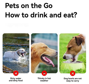 Bol de mangeoire pour chien pliable pour voyage bol d'alimentation pliable pour animal de compagnie bol de voyage pour chien en silicone avec mousqueton pour la randonnée - Product Image 6