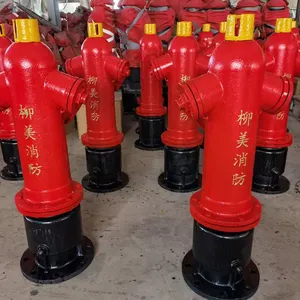 DN100 DN150 Outdoor 16Bar 2 Ways Fire Protection Pillar Ductile Cast Iron Fire Hydrant