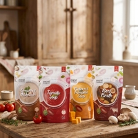 Sachet d'emballage souple en Mylar de qualité alimentaire en nylon pour soupes de tomates et légumes, avec impression de logo, 100 ml, 300 ml, 500 ml