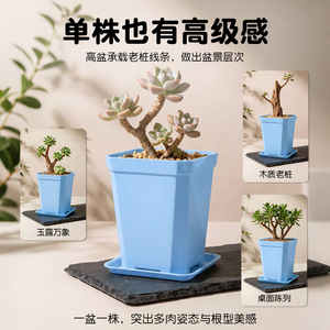 Pot à succulentes Airi Shield bleu ciel, petit et haut, 7 cm, en plastique PP, avec trou de drainage - Product Image 3